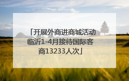 开展外商进商城活动 临沂1-4月接待国际客商13233人次