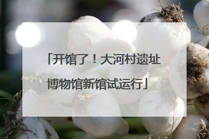 开馆了！大河村遗址博物馆新馆试运行