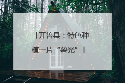 开鲁县：特色种植一片“薯光”