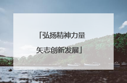 弘扬精神力量 矢志创新发展