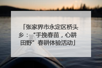 张家界市永定区桥头乡：“手挽春苗，心耕田野”春耕体验活动