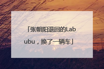 张朝阳退回的Labubu，换了一辆车