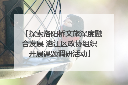 探索洛阳桥文旅深度融合发展 洛江区政协组织开展课题调研活动
