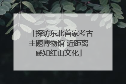 探访东北首家考古主题博物馆 近距离感知红山文化
