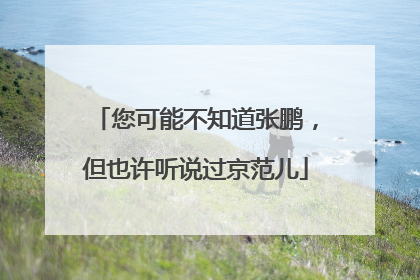 您可能不知道张鹏，但也许听说过京范儿