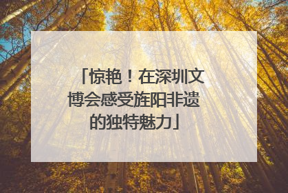 惊艳！在深圳文博会感受旌阳非遗的独特魅力