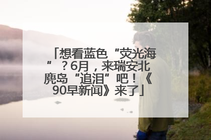 想看蓝色“荧光海”？6月，来瑞安北麂岛“追泪”吧！《90早新闻》来了