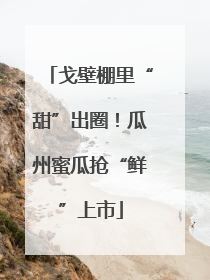 戈壁棚里“甜”出圈！瓜州蜜瓜抢“鲜”上市