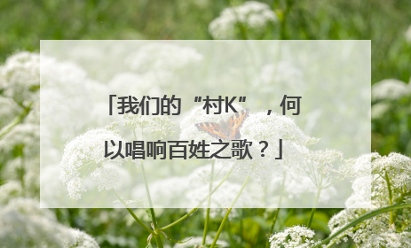 我们的“村K”，何以唱响百姓之歌？