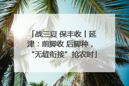 战三夏 保丰收丨延津：前脚收 后脚种，“无缝衔接”抢农时