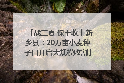 战三夏 保丰收丨新乡县：20万亩小麦种子田开启大规模收割