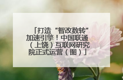 打造“智改数转”加速引擎！中国联通（上饶）互联网研究院正式运营（图）