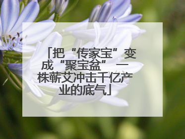 把“传家宝”变成“聚宝盆” 一株蕲艾冲击千亿产业的底气