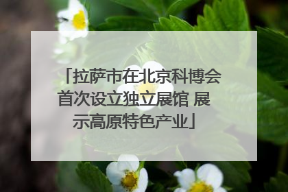 拉萨市在北京科博会首次设立独立展馆 展示高原特色产业