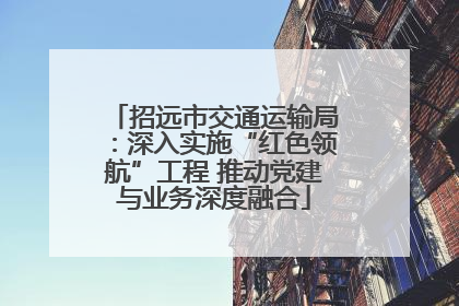 招远市交通运输局：深入实施“红色领航”工程 推动党建与业务深度融合