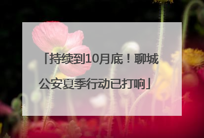 持续到10月底！聊城公安夏季行动已打响