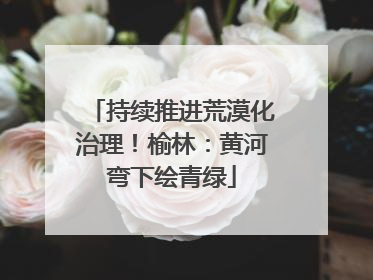 持续推进荒漠化治理！榆林：黄河弯下绘青绿