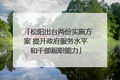 松阳出台两份实施方案 提升政府服务水平和干部履职能力