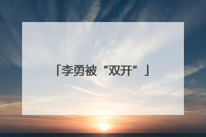 李勇被“双开”