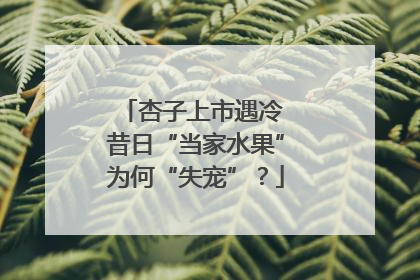 杏子上市遇冷 昔日“当家水果”为何“失宠”？