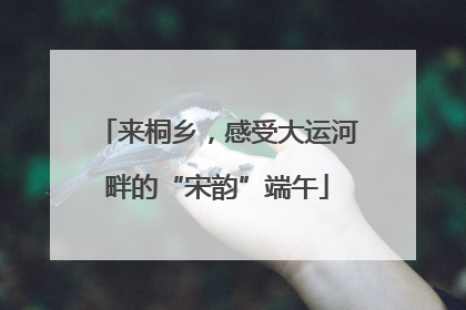 来桐乡，感受大运河畔的“宋韵”端午
