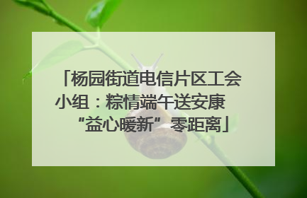 杨园街道电信片区工会小组：粽情端午送安康 “益心暖新”零距离