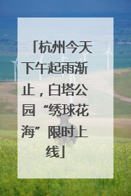 杭州今天下午起雨渐止，白塔公园“绣球花海”限时上线