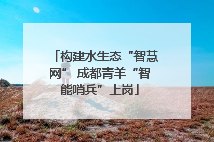 构建水生态“智慧网” 成都青羊“智能哨兵”上岗