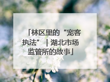 林区里的“宠客执法”｜湖北市场监管所的故事