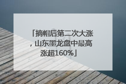 摘帽后第二次大涨，山东墨龙盘中最高涨超160%