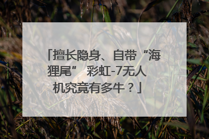 擅长隐身、自带“海狸尾” 彩虹-7无人机究竟有多牛？