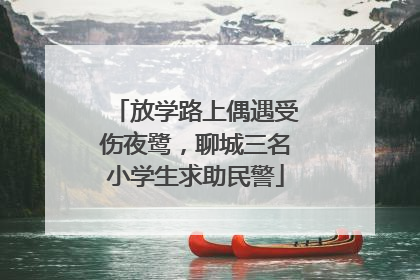 放学路上偶遇受伤夜鹭，聊城三名小学生求助民警
