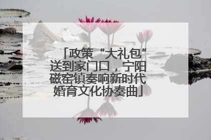 政策“大礼包”送到家门口，宁阳磁窑镇奏响新时代婚育文化协奏曲