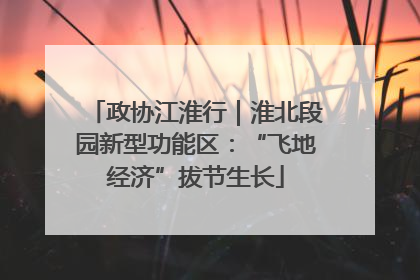 政协江淮行｜淮北段园新型功能区：“飞地经济”拔节生长