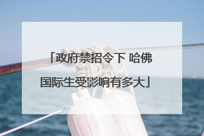 政府禁招令下 哈佛国际生受影响有多大