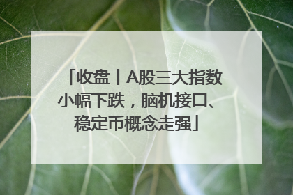收盘丨A股三大指数小幅下跌，脑机接口、稳定币概念走强