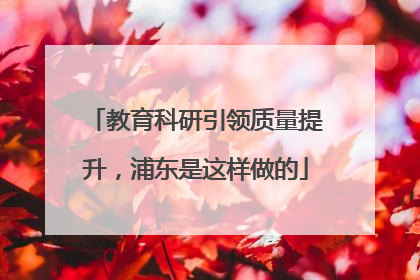教育科研引领质量提升，浦东是这样做的