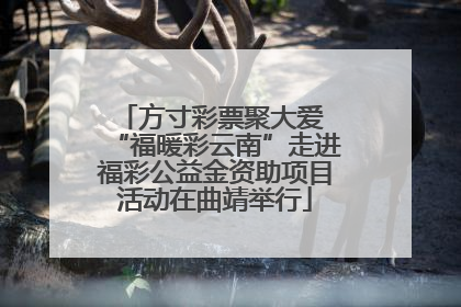 方寸彩票聚大爱 “福暖彩云南”走进福彩公益金资助项目活动在曲靖举行