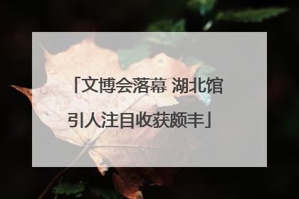文博会落幕 湖北馆引人注目收获颇丰