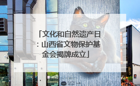 文化和自然遗产日：山西省文物保护基金会揭牌成立