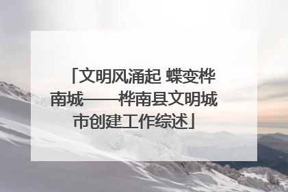 文明风涌起 蝶变桦南城——桦南县文明城市创建工作综述