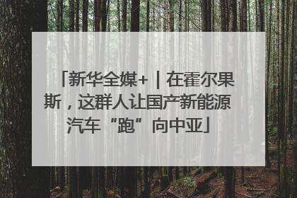新华全媒+｜在霍尔果斯，这群人让国产新能源汽车“跑”向中亚
