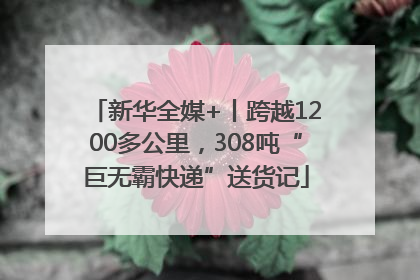 新华全媒+丨跨越1200多公里，308吨“巨无霸快递”送货记