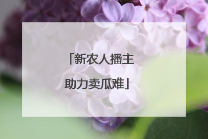 新农人播主 助力卖瓜难