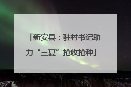 新安县：驻村书记助力“三夏”抢收抢种