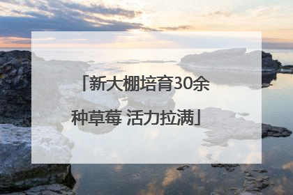 新大棚培育30余种草莓 活力拉满