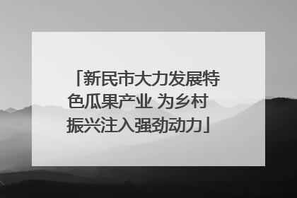 新民市大力发展特色瓜果产业 为乡村振兴注入强劲动力