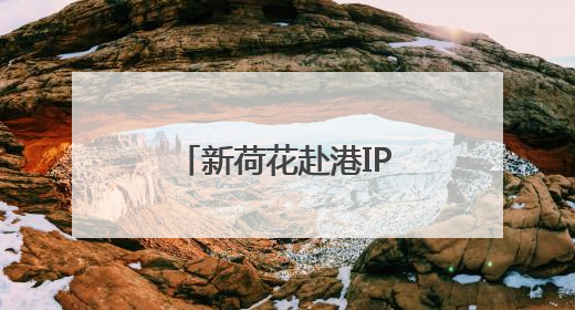 新荷花赴港IPO：开启中药饮片行业新征程
