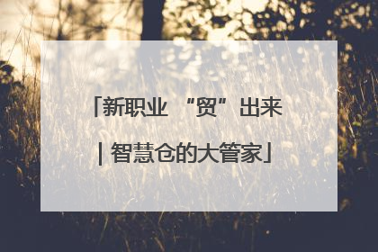新职业 “贸”出来｜智慧仓的大管家