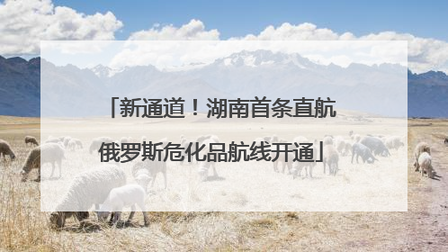 新通道！湖南首条直航俄罗斯危化品航线开通